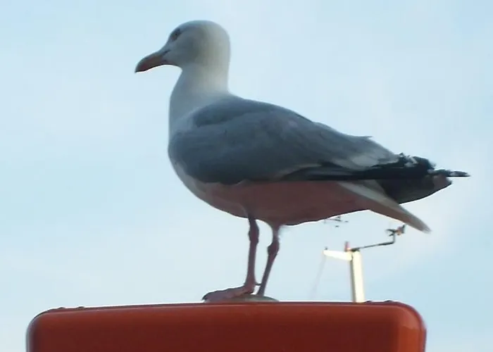 Marina - 3p Duplex - 6 Pers - 5' Apartment Deauville